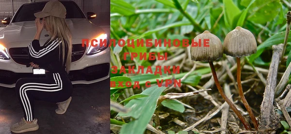 дживик Покровск
