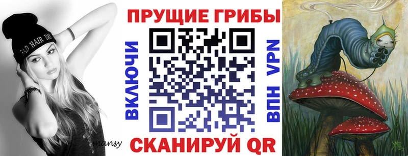 даркнет сайт  Свободный  Псилоцибиновые грибы Magic Shrooms 