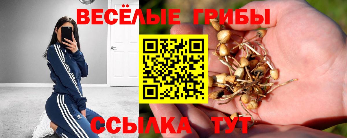 Свободный  Галлюциногенные грибы прущие грибы  Вход с VPN 