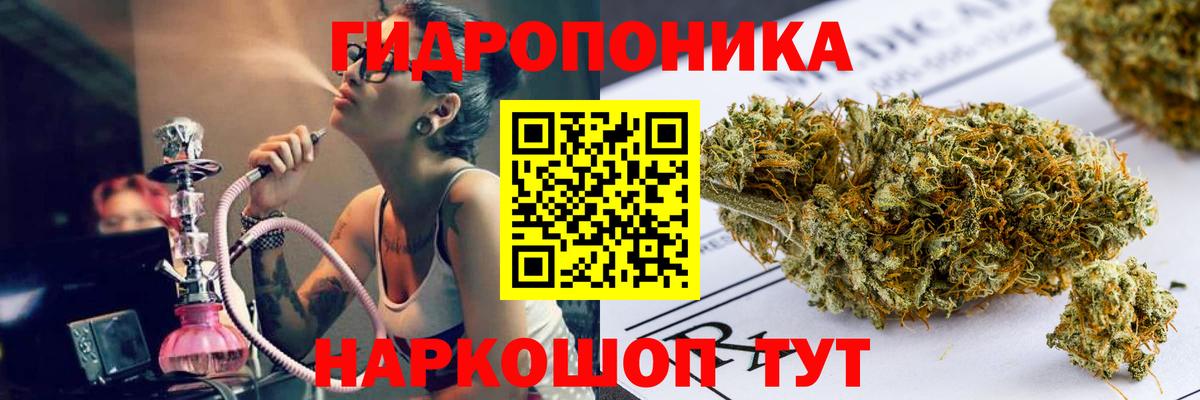 Конопля сатива  Марихуана индика  Вход с VPN  Свободный  Бошки Шишки White Widow 